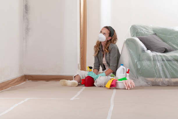 Reliable Mold Cleanup contractor in Chestertown, MD by WQB Mold Removal